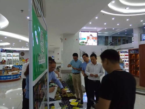 張劍飛副省長率全省地市書記 省直相關(guān)部門視察湘西電商創(chuàng)業(yè)孵化基地