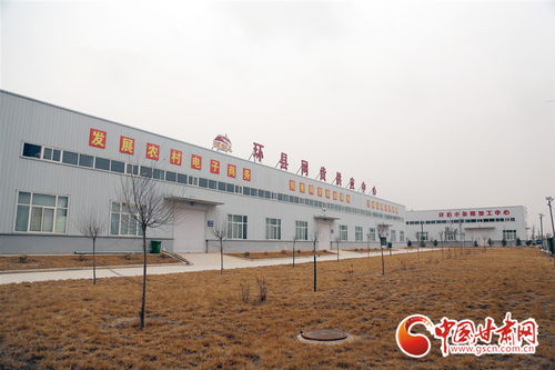 環(huán)縣 搶抓機遇 六統(tǒng)一 電商發(fā)展模式俏走全國